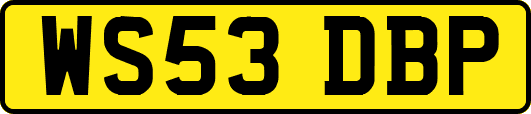 WS53DBP