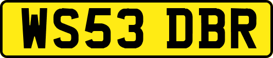 WS53DBR