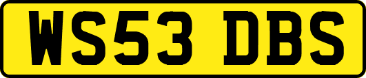WS53DBS
