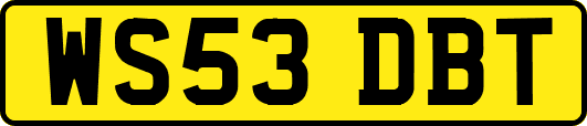 WS53DBT