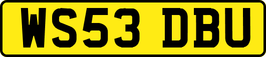 WS53DBU