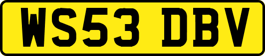WS53DBV