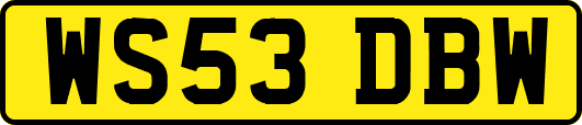 WS53DBW