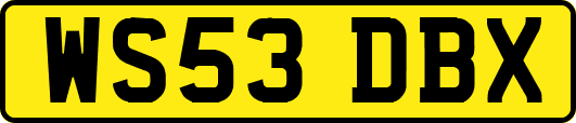 WS53DBX