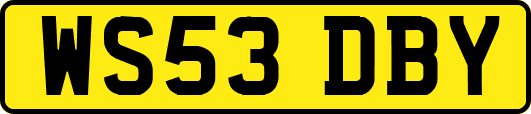 WS53DBY