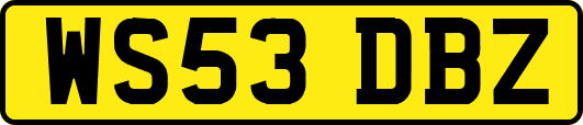 WS53DBZ