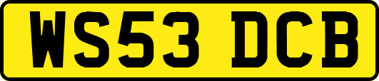 WS53DCB