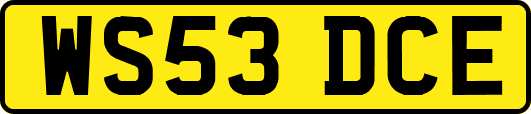 WS53DCE