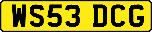 WS53DCG