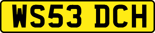 WS53DCH