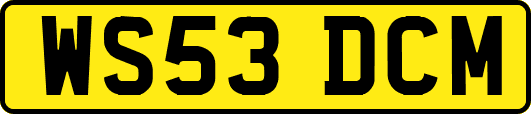 WS53DCM