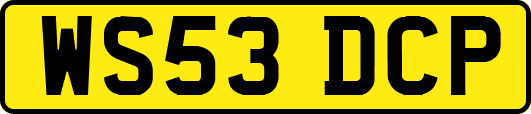 WS53DCP