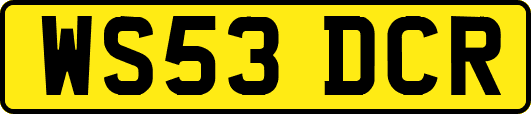 WS53DCR