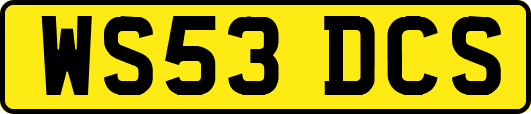 WS53DCS