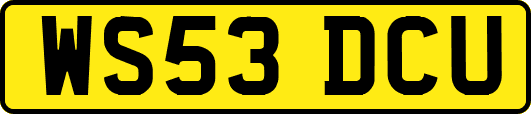 WS53DCU