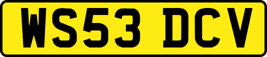 WS53DCV