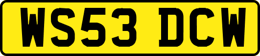 WS53DCW