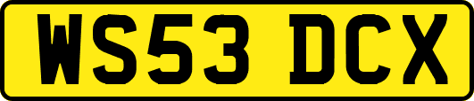 WS53DCX