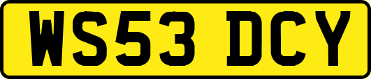 WS53DCY