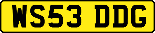 WS53DDG