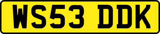 WS53DDK