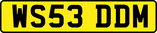 WS53DDM