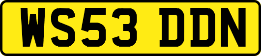 WS53DDN
