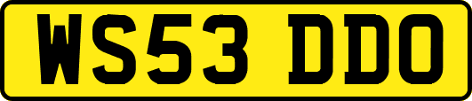 WS53DDO
