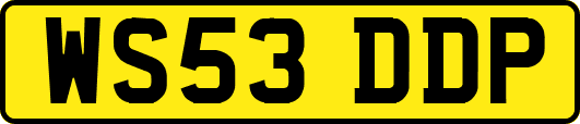 WS53DDP