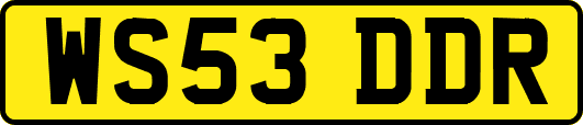 WS53DDR