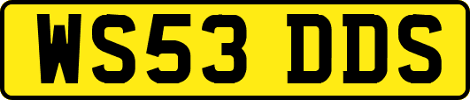 WS53DDS