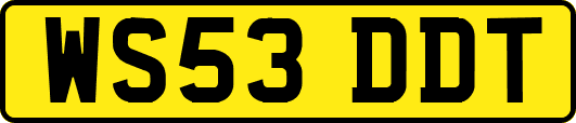 WS53DDT