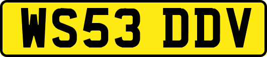 WS53DDV