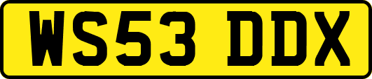 WS53DDX