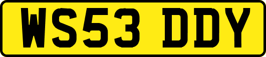 WS53DDY