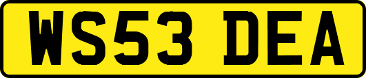 WS53DEA