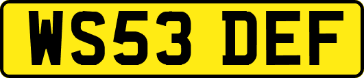 WS53DEF