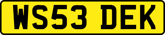 WS53DEK