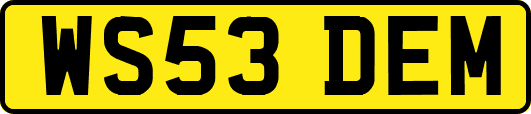 WS53DEM