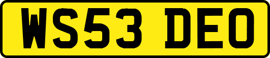WS53DEO