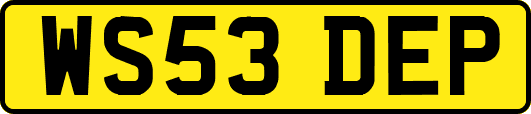 WS53DEP
