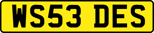 WS53DES