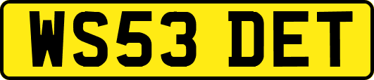 WS53DET