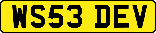 WS53DEV