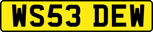 WS53DEW