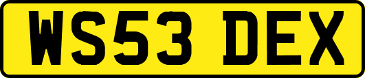 WS53DEX