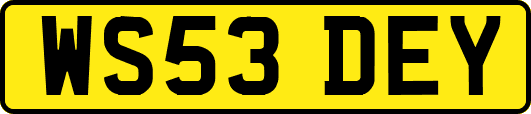 WS53DEY