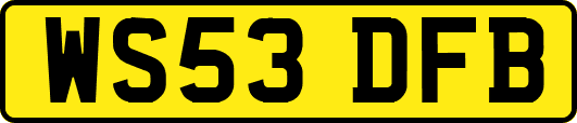 WS53DFB