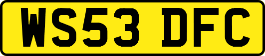 WS53DFC