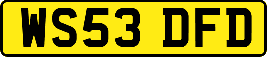 WS53DFD